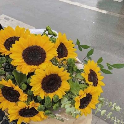 博鱼app手机app下载