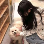 云开平台APP官方全站APP入口手机app下载